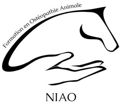NIAO